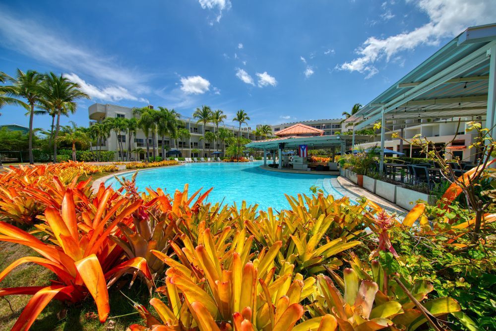 Rincon - Gallery photo